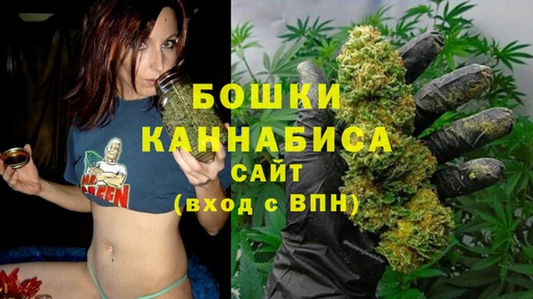 сатива Заволжье