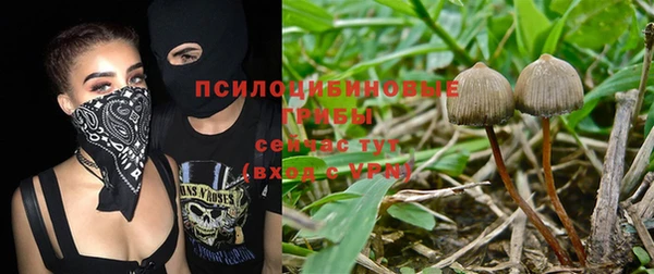 сатива Заволжье