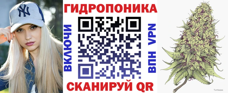 blacksprut ссылки  Себеж  Каннабис Bruce Banner 